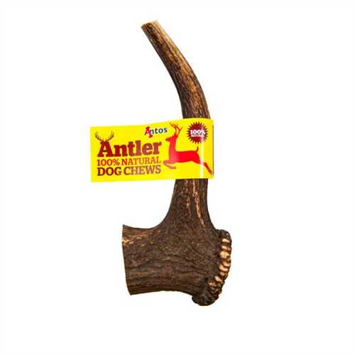 Antos Antler - Small