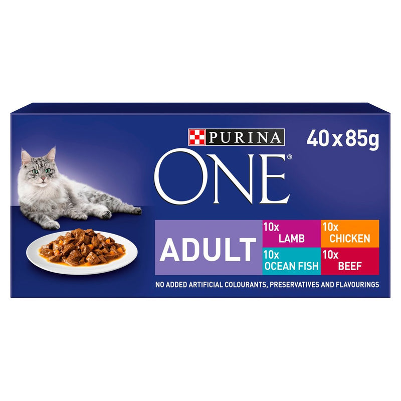 Purina ONE Adult Cat Food Mini Fillets in Gravy 40 Pack