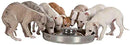 Trixie Stainless Steel Puppy Feeder - Large