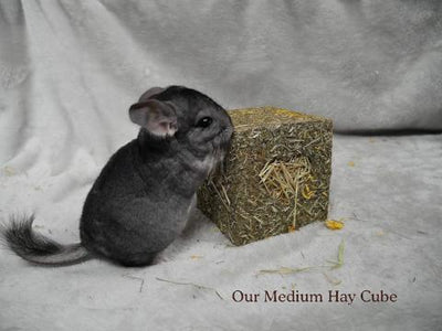 Edible Hay Cube - Small