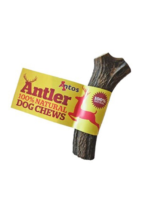 Antos Antler - Large