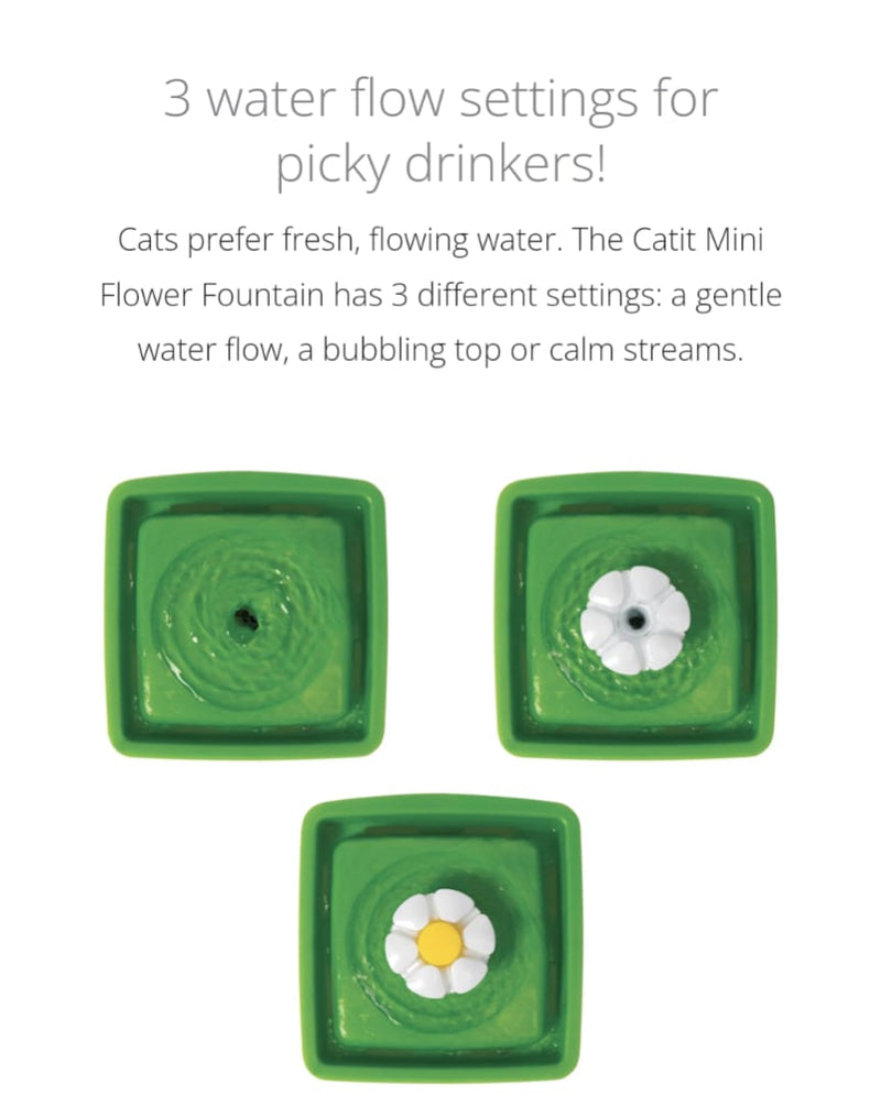 Flower Fountain - Mini