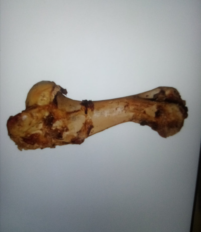 Mega Roast Bone ( half cows leg )