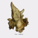 Hairy Buffalo Ear Large