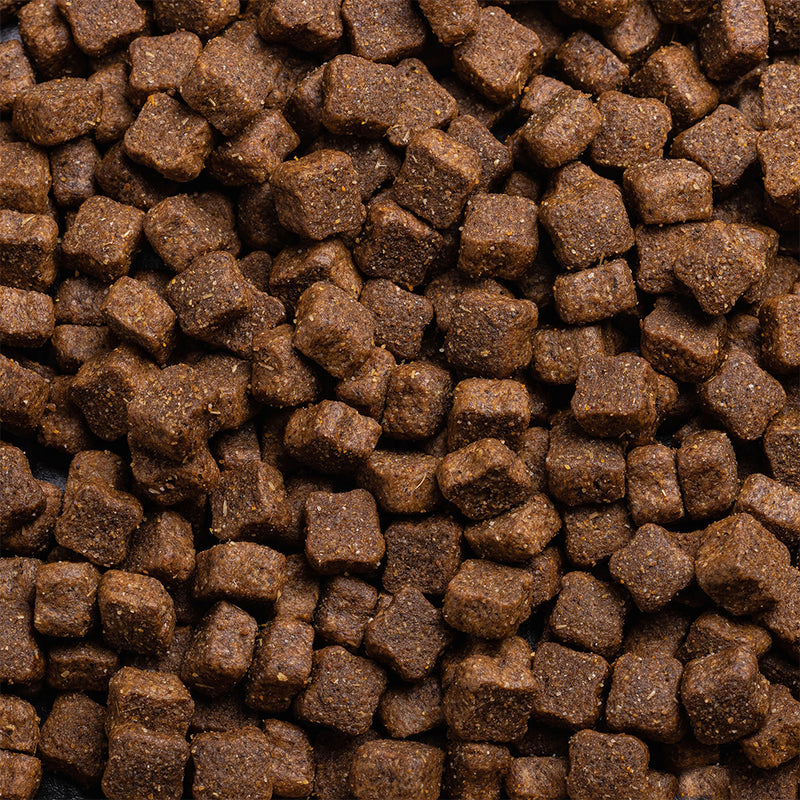 Mackenzies Adult Dry Dog Food Meaty Chunks