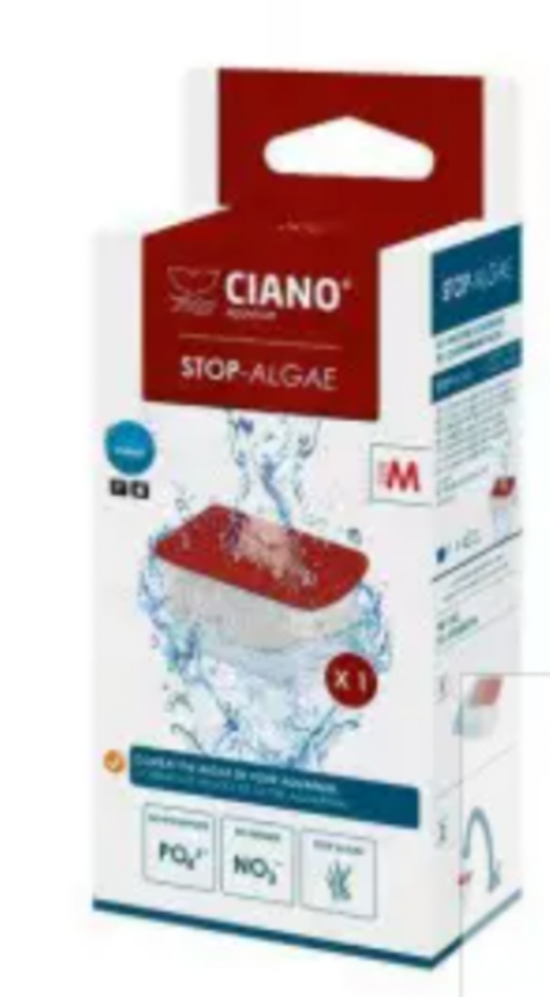 Ciano water Algae size Large