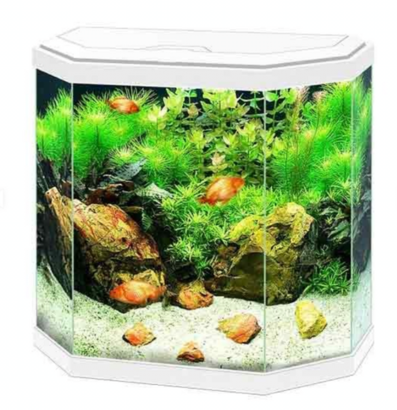 Aqua 30 white Fish tank 25litre