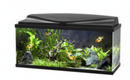 Ciano tank aquarium 80 LED black or white - 74L ( Local Delivery or Collection Only )