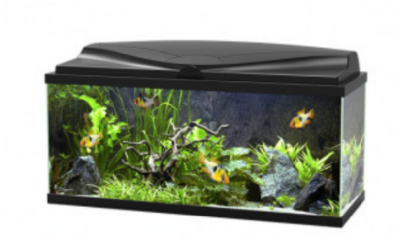 Ciano tank aquarium 80 LED black or white - 74L