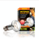Exo Terra intense basking spot 50w